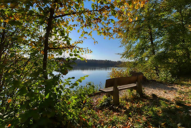 让全队的化 让全队的化